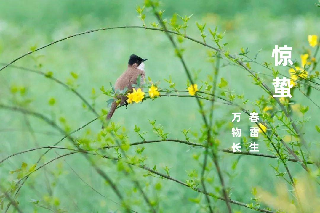 5b6601e37a974a43b42382dfe44542a0_副本.jpg