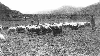陕北传唱《南泥湾》(todayonhistory.com)