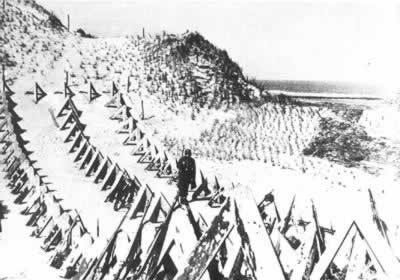 诺曼底登陆纪念图片集(一)(TodayOnHistory.com)